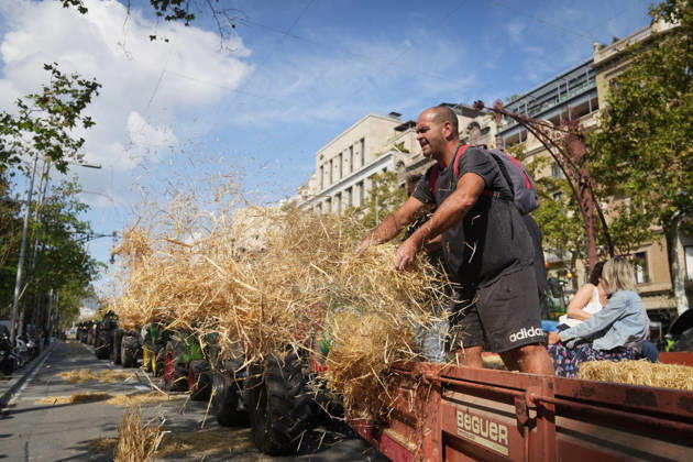 Tractor Rally for Agriculture in Barcelona: Protesters during a rally of tractors from various parts of Catalonia in front of the Government Delegation and statements, on October 14, 2026, in Barcelona, Catalonia, Spain. The demonstration, organized by Unió de Pagesos with the support of Asaja, FCAC, and Revolta Pagesa, denounces the structural crisis in the agricultural sector in Barcelona. October 14, 2026, Spain Copyright: xDavidxZorrakinox 7844763
