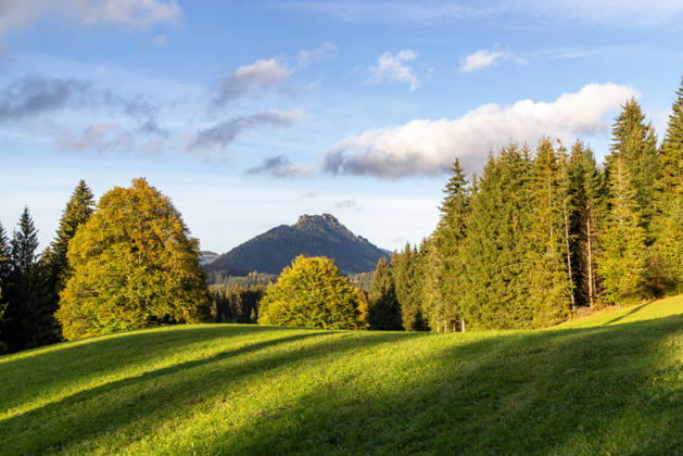 Herbstabend im Allgäu Abendstimmung bei Oberjoch im Allgäu., Bad Hindelang Bayern Deutschland