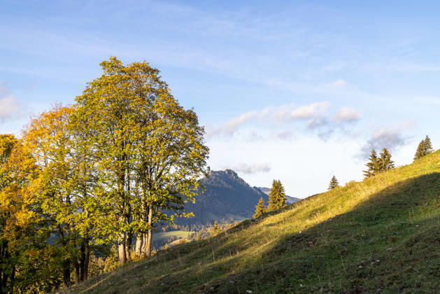 Herbstabend im Allgäu Abendstimmung bei Oberjoch im Allgäu., Bad Hindelang Bayern Deutschland