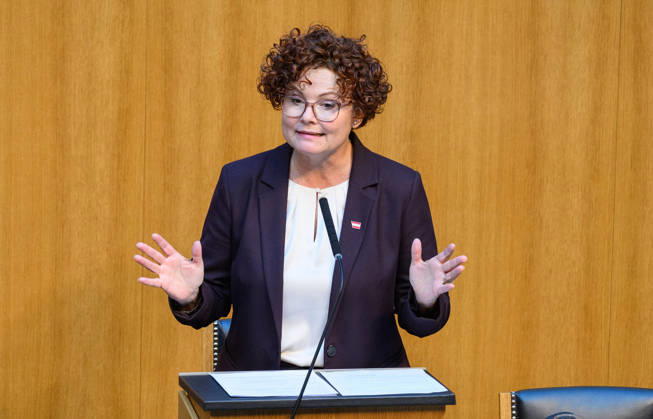 Â - Wien 15.10.2026 - 103. Sitzung des Nationalrates. PHOTO: Wirtschaftstaatssekretärin Elisabeth Zehetner (ÖVP) 103th sitting of the National Council. Nationalrat, Nationalratssitzung, Parlamentssitzung, Parlament, Plenum 103. Sitzung des Nationalrates