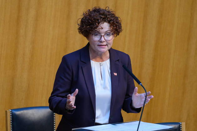Â - Wien 15.10.2026 - 103. Sitzung des Nationalrates. PHOTO: Wirtschaftstaatssekretärin Elisabeth Zehetner (ÖVP) 103th sitting of the National Council. Nationalrat, Nationalratssitzung, Parlamentssitzung, Parlament, Plenum 103. Sitzung des Nationalrates