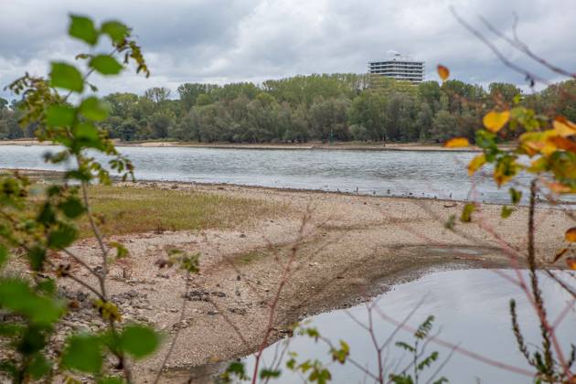 Seit Wochen beeinträchtigt Niedrigwasser den Schiffsverkehr auf dem Rhein. Im Köln lag der Pegel am Sonntag, 18. Oktober, bei nur noch 53 Zentimeter. Das Bild zeigt den Strom zwischen Köln-Poll und Köln-Rodenkirchen im Süden der Stadt. Niedrigwasser am Rhein