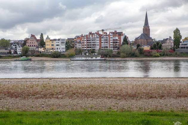 Seit Wochen beeinträchtigt Niedrigwasser den Schiffsverkehr auf dem Rhein. Im Köln lag der Pegel am Sonntag, 18. Oktober, bei nur noch 53 Zentimeter. Das Bild zeigt den Strom zwischen Köln-Poll und Köln-Rodenkirchen im Süden der Stadt. Niedrigwasser am Rhein