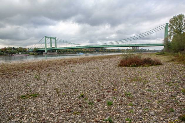 Seit Wochen beeinträchtigt Niedrigwasser den Schiffsverkehr auf dem Rhein. Im Köln lag der Pegel am Sonntag, 18. Oktober, bei nur noch 53 Zentimeter. Das Bild zeigt den Strom zwischen Köln-Poll und Köln-Rodenkirchen und die Rodenkirchener Brücke im Süden der Stadt. Niedrigwasser am Rhein