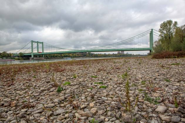 Seit Wochen beeinträchtigt Niedrigwasser den Schiffsverkehr auf dem Rhein. Im Köln lag der Pegel am Sonntag, 18. Oktober, bei nur noch 53 Zentimeter. Das Bild zeigt den Strom zwischen Köln-Poll und Köln-Rodenkirchen und die Rodenkirchener Brücke im Süden der Stadt. Niedrigwasser am Rhein