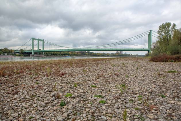Seit Wochen beeinträchtigt Niedrigwasser den Schiffsverkehr auf dem Rhein. Im Köln lag der Pegel am Sonntag, 18. Oktober, bei nur noch 53 Zentimeter. Das Bild zeigt den Strom zwischen Köln-Poll und Köln-Rodenkirchen und die Rodenkirchener Brücke im Süden der Stadt. Niedrigwasser am Rhein