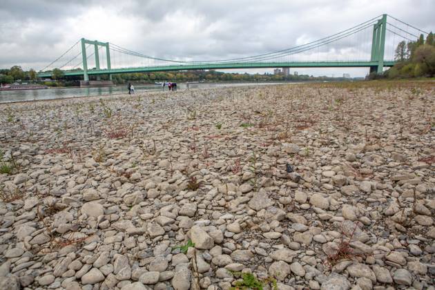 Seit Wochen beeinträchtigt Niedrigwasser den Schiffsverkehr auf dem Rhein. Im Köln lag der Pegel am Sonntag, 18. Oktober, bei nur noch 53 Zentimeter. Das Bild zeigt den Strom zwischen Köln-Poll und Köln-Rodenkirchen und die Rodenkirchener Brücke im Süden der Stadt. Niedrigwasser am Rhein
