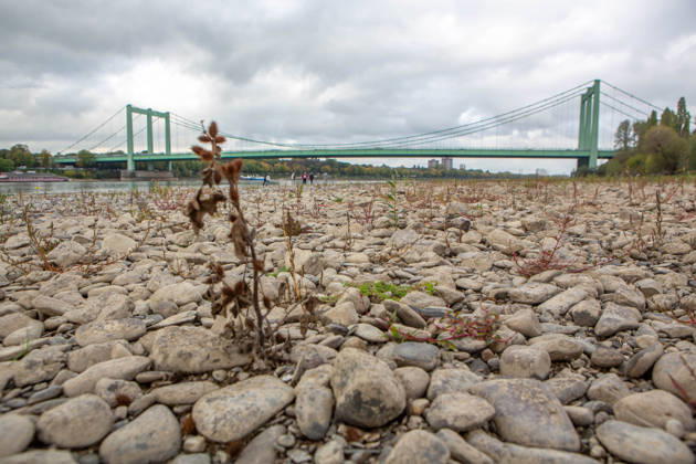 Seit Wochen beeinträchtigt Niedrigwasser den Schiffsverkehr auf dem Rhein. Im Köln lag der Pegel am Sonntag, 18. Oktober, bei nur noch 53 Zentimeter. Das Bild zeigt den Strom zwischen Köln-Poll und Köln-Rodenkirchen und die Rodenkirchener Brücke im Süden der Stadt. Niedrigwasser am Rhein