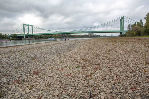 Seit Wochen beeinträchtigt Niedrigwasser den Schiffsverkehr auf dem Rhein. Im Köln lag der Pegel am Sonntag, 18. Oktober, bei nur noch 53 Zentimeter. Das Bild zeigt den Strom zwischen Köln-Poll und Köln-Rodenkirchen und die Rodenkirchener Brücke im Süden der Stadt. Niedrigwasser am Rhein