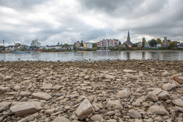 Seit Wochen beeinträchtigt Niedrigwasser den Schiffsverkehr auf dem Rhein. Im Köln lag der Pegel am Sonntag, 18. Oktober, bei nur noch 53 Zentimeter. Das Bild zeigt den Strom zwischen Köln-Poll und Köln-Rodenkirchen im Süden der Stadt. Niedrigwasser am Rhein