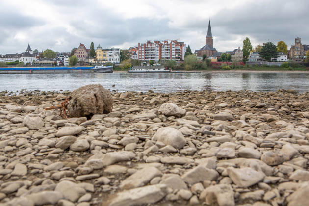 Seit Wochen beeinträchtigt Niedrigwasser den Schiffsverkehr auf dem Rhein. Im Köln lag der Pegel am Sonntag, 18. Oktober, bei nur noch 53 Zentimeter. Das Bild zeigt den Strom zwischen Köln-Poll und Köln-Rodenkirchen im Süden der Stadt. Niedrigwasser am Rhein