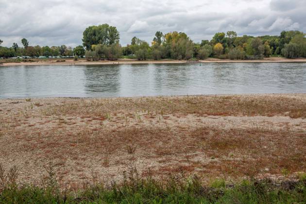Seit Wochen beeinträchtigt Niedrigwasser den Schiffsverkehr auf dem Rhein. Im Köln lag der Pegel am Sonntag, 18. Oktober, bei nur noch 53 Zentimeter. Das Bild zeigt den Strom zwischen Köln-Poll und Köln-Rodenkirchen im Süden der Stadt. Niedrigwasser am Rhein