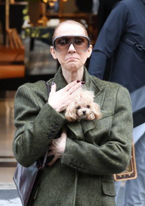 Céline Dion leaves the Royal Monceau hotel with her sons Nelson and Eddy and her dog the day after her final concert in Paris on October 19, 2026. Cyril Moreau, Bestimage. Céline Dion leaves the Royal Monceau hotel with her sons Nelson and Eddy and her dog, the day after her final concert in Paris on October 19, 2026, Paris, France  Copyright: xCYRILxMOREAUx xBESTIMAGExCYRILxMOREAUx xBESTIMAGEx
