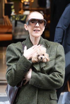 Céline Dion leaves the Royal Monceau hotel with her sons Nelson and Eddy and her dog the day after her final concert in Paris on October 19, 2026. Cyril Moreau, Bestimage. Céline Dion leaves the Royal Monceau hotel with her sons Nelson and Eddy and her dog, the day after her final concert in Paris on October 19, 2026, Paris, France  Copyright: xCYRILxMOREAUx xBESTIMAGExCYRILxMOREAUx xBESTIMAGEx