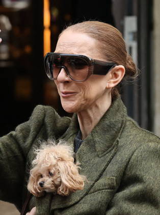 Céline Dion leaves the Royal Monceau hotel with her sons Nelson and Eddy and her dog the day after her final concert in Paris on October 19, 2026. Cyril Moreau, Bestimage. Céline Dion leaves the Royal Monceau hotel with her sons Nelson and Eddy and her dog, the day after her final concert in Paris on October 19, 2026, Paris, France  Copyright: xCYRILxMOREAUx xBESTIMAGExCYRILxMOREAUx xBESTIMAGEx