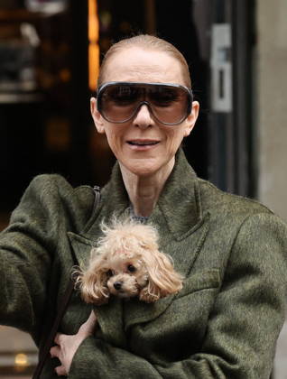 Céline Dion leaves the Royal Monceau hotel with her sons Nelson and Eddy and her dog the day after her final concert in Paris on October 19, 2026. Cyril Moreau, Bestimage. Céline Dion leaves the Royal Monceau hotel with her sons Nelson and Eddy and her dog, the day after her final concert in Paris on October 19, 2026, Paris, France  Copyright: xCYRILxMOREAUx xBESTIMAGExCYRILxMOREAUx xBESTIMAGEx