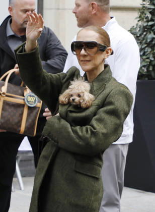 Céline Dion leaves the Royal Monceau hotel with her sons Nelson and Eddy and her dog Madison after her concert series in Paris October 19, 2026 Marc Aussel Lacroix Bestimage Céline Dion leaves the Royal Monceau hotel with her sons Nelson and Eddy and her dog Madison after her concert series in Paris October 19, 2026 Paris, France Copyright: xMarcxAussetxLacroixx xBestimagexMarcxAussetxLacroixx xBestimagex