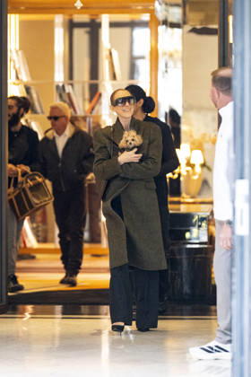 Céline Dion, accompanied by her sons Eddy and Nelson Angelil, leaves the Royal Monceau hotel for La Plenitude Arena in Paris after 16 concerts over five weeks in front of nearly 500,000 people, on October 19, 2026. Holding her dog, Madison, in her arms, the Canadian singer waved one last time to her fans gathered in front of the hotel. She will return to the Paris La Défense Arena for 10 special concerts from May 8 to 29, 2027. Pierre Perusseau Bestimage Céline Dion, accompanied by her sons Eddy and Nelson Angelil, leaves the Royal Monceau luxury hotel in Paris on October 19, 2026, following 16 concerts over five weeks performed before nearly 500,000 people. Holding her dog, Madison, in her arms, the Canadian singer waved one last time to Copyright: xPierrexPerusseaux xBestimagexPierrexPerusseaux xBestimagex