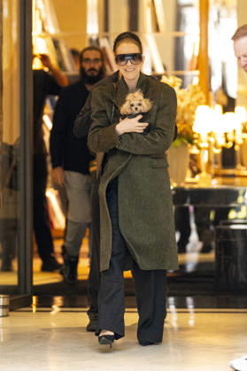 Céline Dion, accompanied by her sons Eddy and Nelson Angelil, leaves the Royal Monceau hotel for La Plenitude Arena in Paris after 16 concerts over five weeks in front of nearly 500,000 people, on October 19, 2026. Holding her dog, Madison, in her arms, the Canadian singer waved one last time to her fans gathered in front of the hotel. She will return to the Paris La Défense Arena for 10 special concerts from May 8 to 29, 2027. Pierre Perusseau Bestimage Céline Dion, accompanied by her sons Eddy and Nelson Angelil, leaves the Royal Monceau luxury hotel in Paris on October 19, 2026, following 16 concerts over five weeks performed before nearly 500,000 people. Holding her dog, Madison, in her arms, the Canadian singer waved one last time to Copyright: xPierrexPerusseaux xBestimagexPierrexPerusseaux xBestimagex