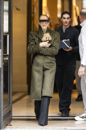 Céline Dion, accompanied by her sons Eddy and Nelson Angelil, leaves the Royal Monceau hotel for La Plenitude Arena in Paris after 16 concerts over five weeks in front of nearly 500,000 people, on October 19, 2026. Holding her dog, Madison, in her arms, the Canadian singer waved one last time to her fans gathered in front of the hotel. She will return to the Paris La Défense Arena for 10 special concerts from May 8 to 29, 2027. Pierre Perusseau Bestimage Céline Dion, accompanied by her sons Eddy and Nelson Angelil, leaves the Royal Monceau luxury hotel in Paris on October 19, 2026, following 16 concerts over five weeks performed before nearly 500,000 people. Holding her dog, Madison, in her arms, the Canadian singer waved one last time to Copyright: xPierrexPerusseaux xBestimagexPierrexPerusseaux xBestimagex