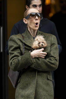Céline Dion, accompanied by her sons Eddy and Nelson Angelil, leaves the Royal Monceau hotel for La Plenitude Arena in Paris after 16 concerts over five weeks in front of nearly 500,000 people, on October 19, 2026. Holding her dog, Madison, in her arms, the Canadian singer waved one last time to her fans gathered in front of the hotel. She will return to the Paris La Défense Arena for 10 special concerts from May 8 to 29, 2027. Pierre Perusseau Bestimage Céline Dion, accompanied by her sons Eddy and Nelson Angelil, leaves the Royal Monceau luxury hotel in Paris on October 19, 2026, following 16 concerts over five weeks performed before nearly 500,000 people. Holding her dog, Madison, in her arms, the Canadian singer waved one last time to Copyright: xPierrexPerusseaux xBestimagexPierrexPerusseaux xBestimagex