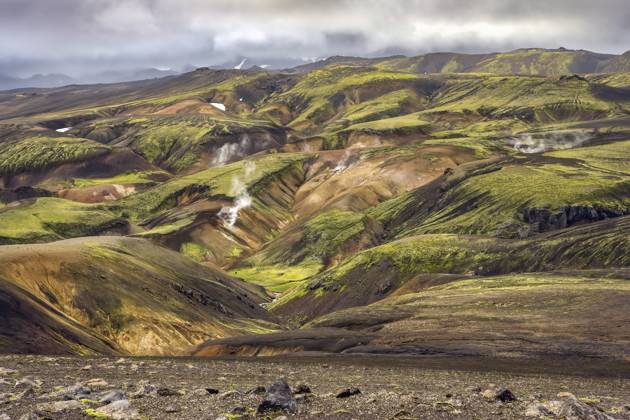 Moos, Flechten und Vulkangestein, Landmannalaugar, Island Moss, Lichen & Igneous Rock, Landmannalaugar, Iceland Copyright: imageBROKER PhilxDegginger iblopi10490299.jpg