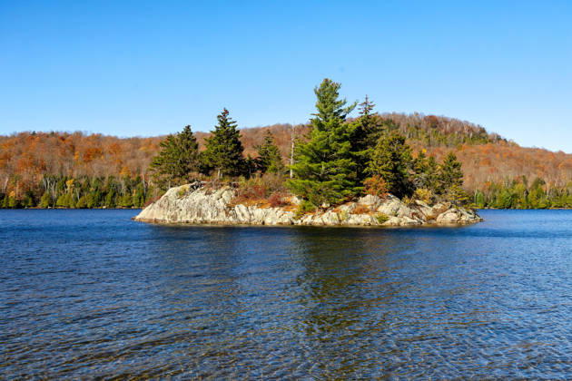 Creative Highlights World Herbstliche Landschaft am Stukely Lake (Lac Stukely) im Mont-Orford-Nationalpark (Parc national du Mont-Orford). Bei sonnigem Wetter zeigen sich einige Laubbäume noch in leuchtenden Herbstfarben, während zahlreiche andere Bäume nach den ersten Nachtfrösten bereits ihr Laub verloren haben. Orford, Quebec, CAN, Kanda, 19.10.2026