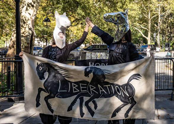 News Bilder des Tages October 22, 2026, New York, New York, USA: Electeds and animal rights groups gathered at City Hall Park for a press conference and rally to pass Romanch s law banning the use of horses in NYC. New York USA - ZUMAh214 20261022_znp_h214_011 Copyright: xSDxHerzogx