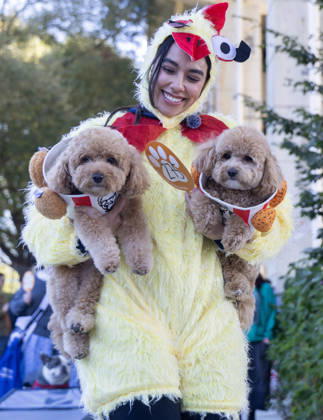 (261025) -- TORONTO, Oct. 25, 2026 -- Two dogs and their owner take part in Howl oween at the Bentway, a dog-and-owner costume contest, in Toronto, Canada, on Oct. 24, 2026. The annual event was held here on Saturday, bringing Halloween fun for dogs and their owners. (Photo by Xinhua) CANADA-TORONTO-HOWL OWEEN-DOG & OWNER COSTUME CONTEST ZouxZheng 