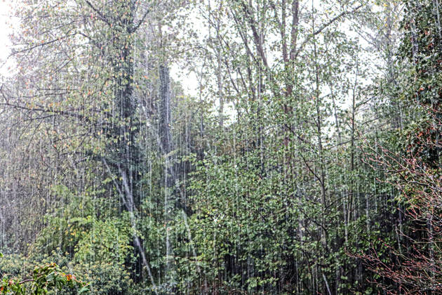 Starkregenfälle auf dem Land Starkregen wird bei einem Graupelgewitter mit Sturmböen über das Land gepeitscht. Essen Nordrhein-Westfalen Deutschland