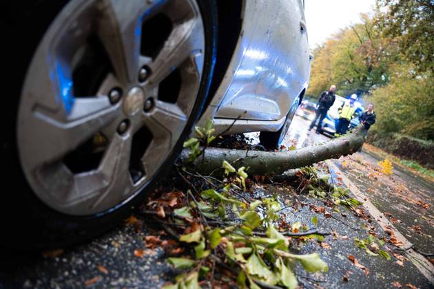 Baumsturz in Schwerte: 80 Zentimeter dicker Baum kracht vor fahrendes Auto – Insassen entgehen nur knapp einer Katastrophe 7aIMG: 0578224 Baumsturz in Schwerte: 80 Zentimeter dicker Baum kracht vor fahrendes Auto – Insassen entgehen nur knapp einer KatastropheNordrhein-Westfalen, Schwerte, Deutschland Copyright: 7aktuell.dex xMarcxGruber 0578224 20261025_7a_vuschwertebaum_578224