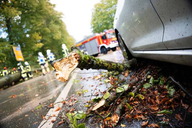 Baumsturz in Schwerte: 80 Zentimeter dicker Baum kracht vor fahrendes Auto – Insassen entgehen nur knapp einer Katastrophe 7aIMG: 0578226 Baumsturz in Schwerte: 80 Zentimeter dicker Baum kracht vor fahrendes Auto – Insassen entgehen nur knapp einer KatastropheNordrhein-Westfalen, Schwerte, Deutschland Copyright: 7aktuell.dex xMarcxGruber 0578226 20261025_7a_vuschwertebaum_578226