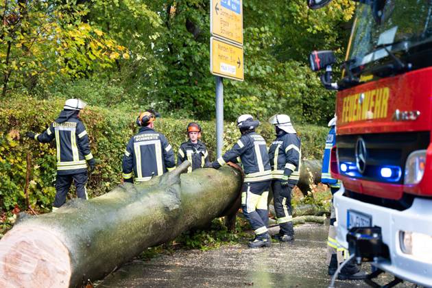 Baumsturz in Schwerte: 80 Zentimeter dicker Baum kracht vor fahrendes Auto – Insassen entgehen nur knapp einer Katastrophe 7aIMG: 0578228 Baumsturz in Schwerte: 80 Zentimeter dicker Baum kracht vor fahrendes Auto – Insassen entgehen nur knapp einer KatastropheNordrhein-Westfalen, Schwerte, Deutschland Copyright: 7aktuell.dex xMarcxGruber 0578228 20261025_7a_vuschwertebaum_578228